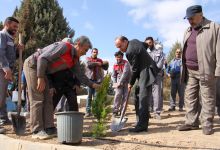 گزارش تصویری از آئیین درختکاری و تقدیر ازهمکاران فضای سبز دانشگاه